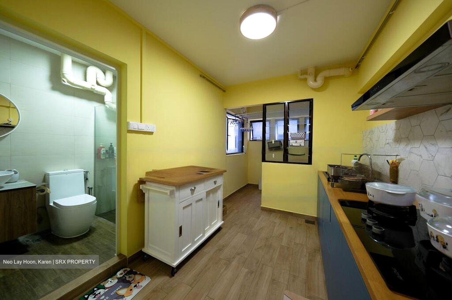 Blk 203D Compassvale Road (Sengkang), HDB Executive #477729441